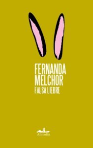 Falsa liebre