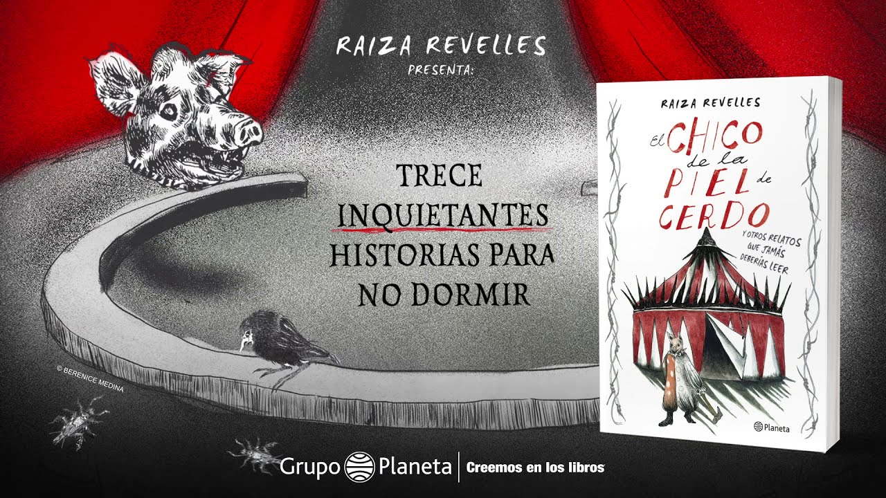 Chico piel de cerdo banner