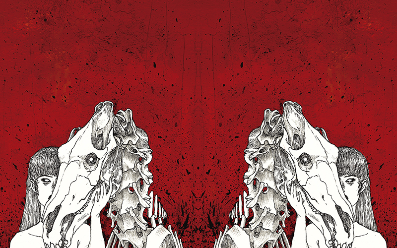 Ecos banner 1