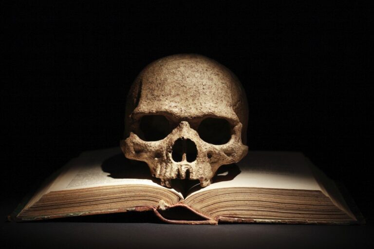 Historia de la novela negra