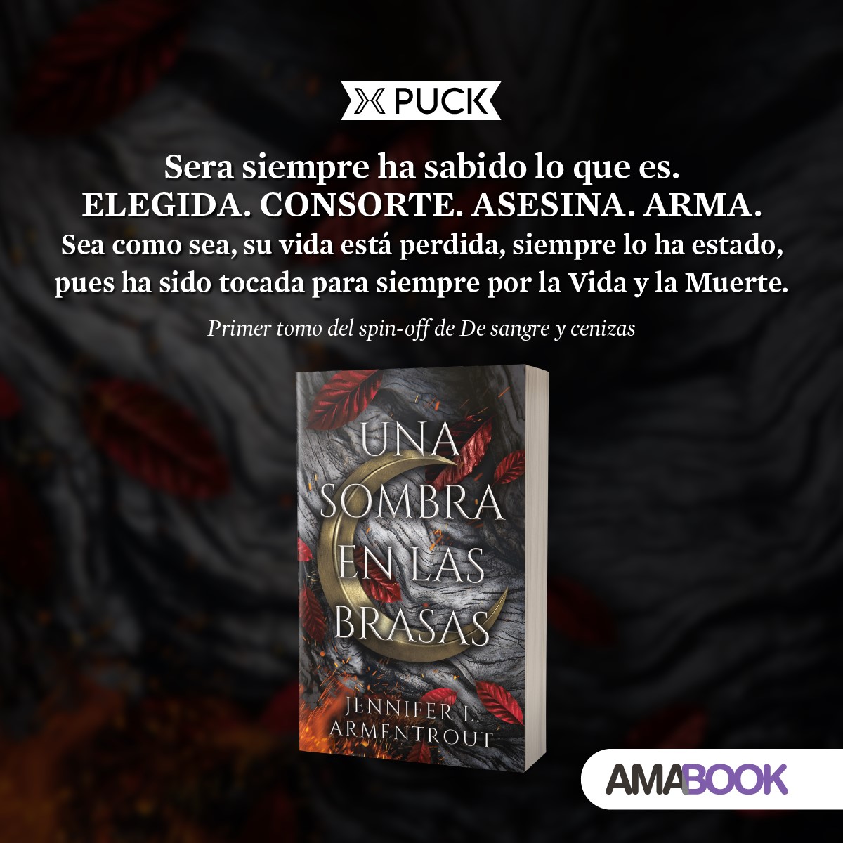 una sombra en las brasas - jennifer l armentrout - de sangre y cenizas banner 2