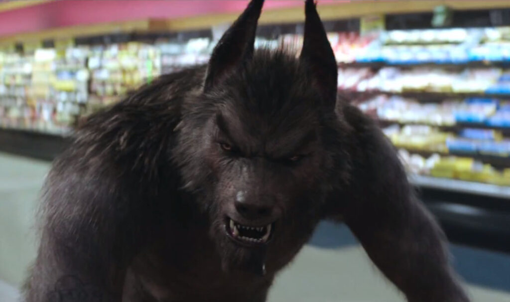 el hombre lobo del pantano banner 2
