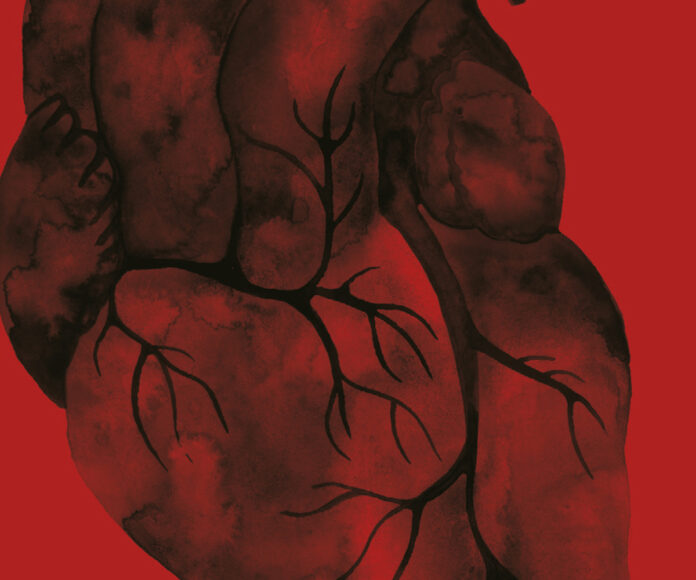 Corazon negro Holly black banner 1