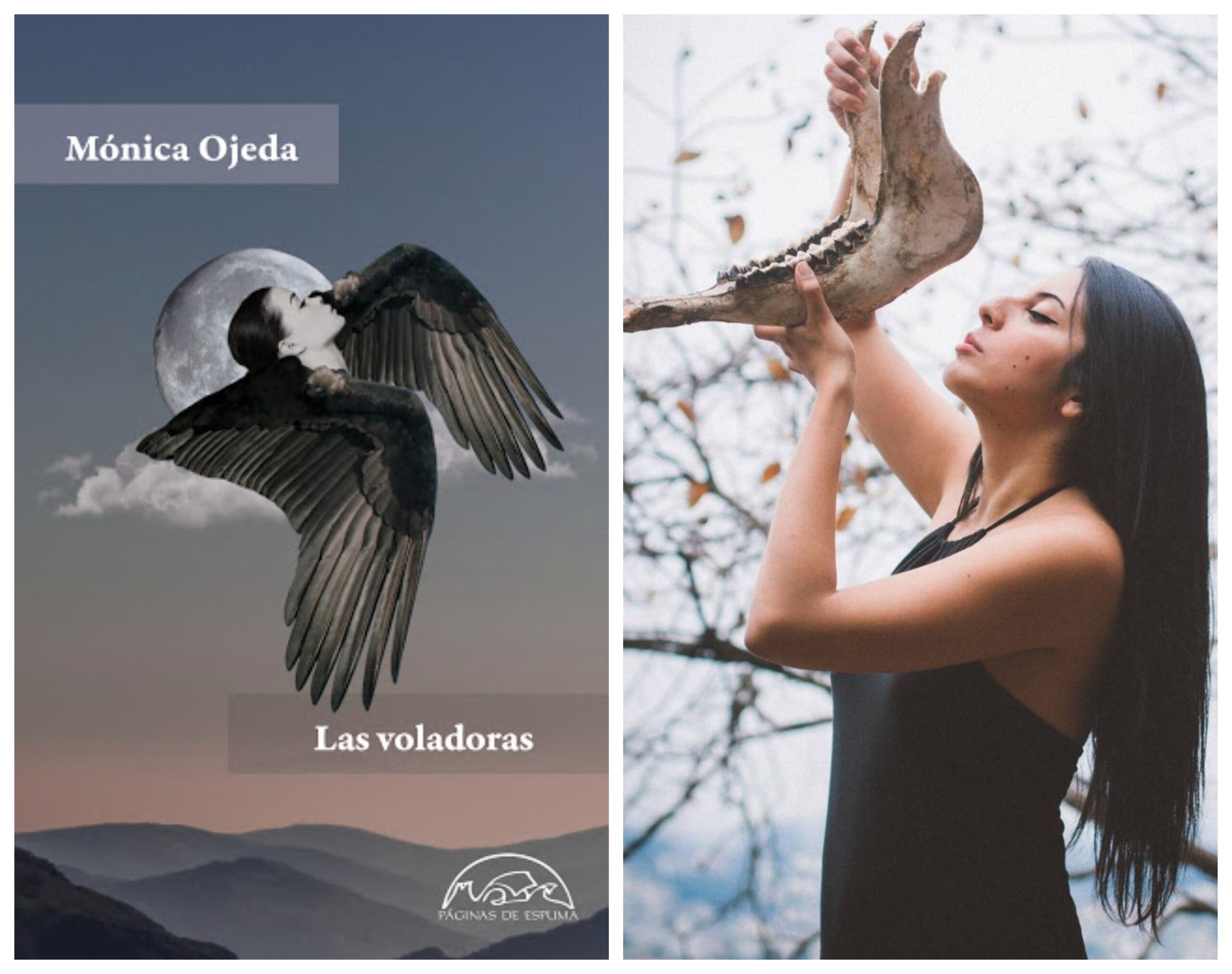 las voladoras monica ojeda banner 1