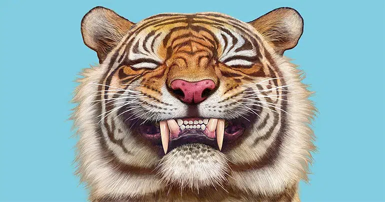 Como mandar a la mierda de forma educada alba cardalda banner 1